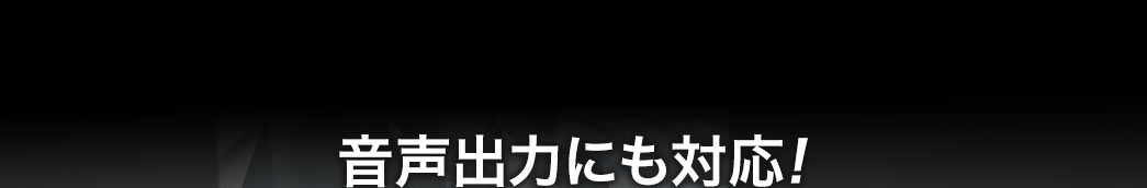 音声出力にも対応