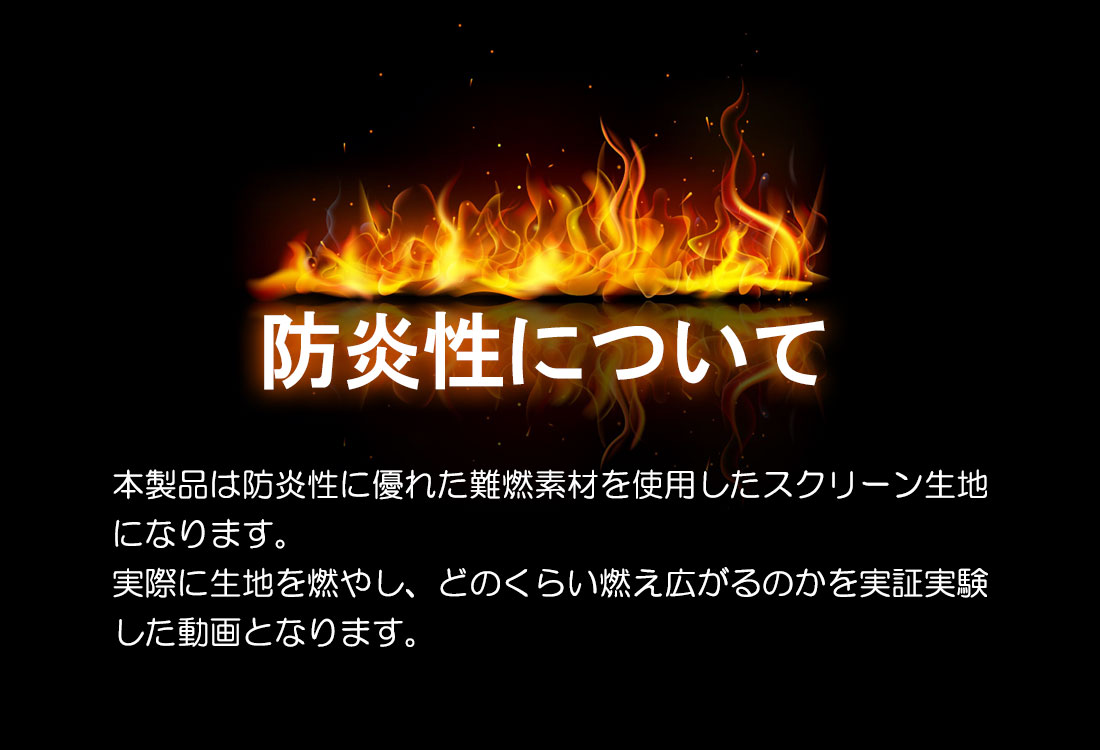 安全性能の実証実験