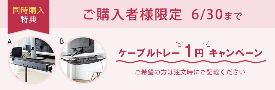 EEX-CBH 対象1円商品