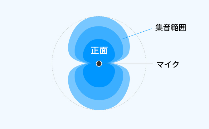 双指向性