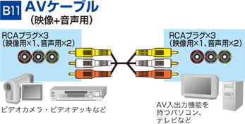 AVP[u
