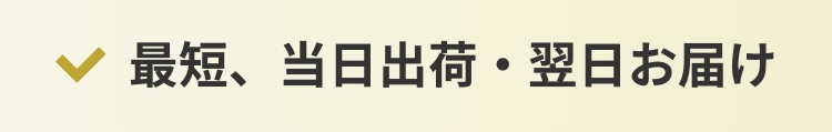 最短、当日出荷・翌日お届け