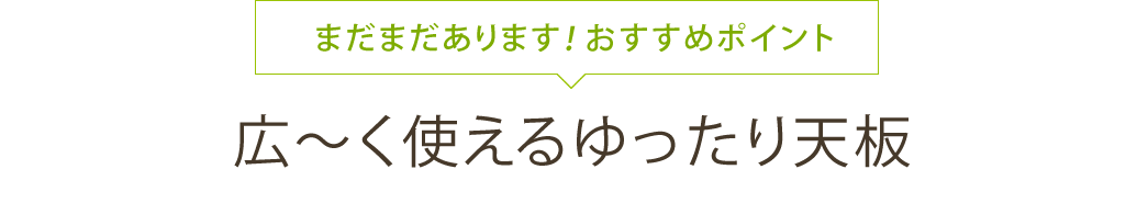 まだまだあります おすすめポイント 広〜く使えるゆったり天板