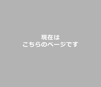 現在はこちらのページです