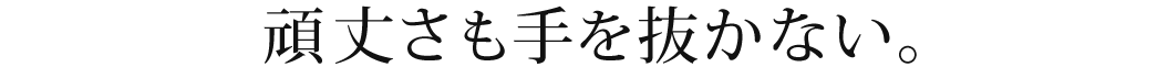 頑丈さも手を抜かない