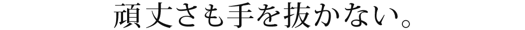 頑丈さも手を抜かない