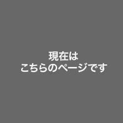 現在はこちらのページです