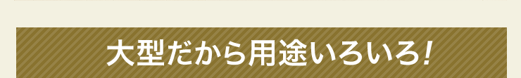 大型だから用途いろいろ