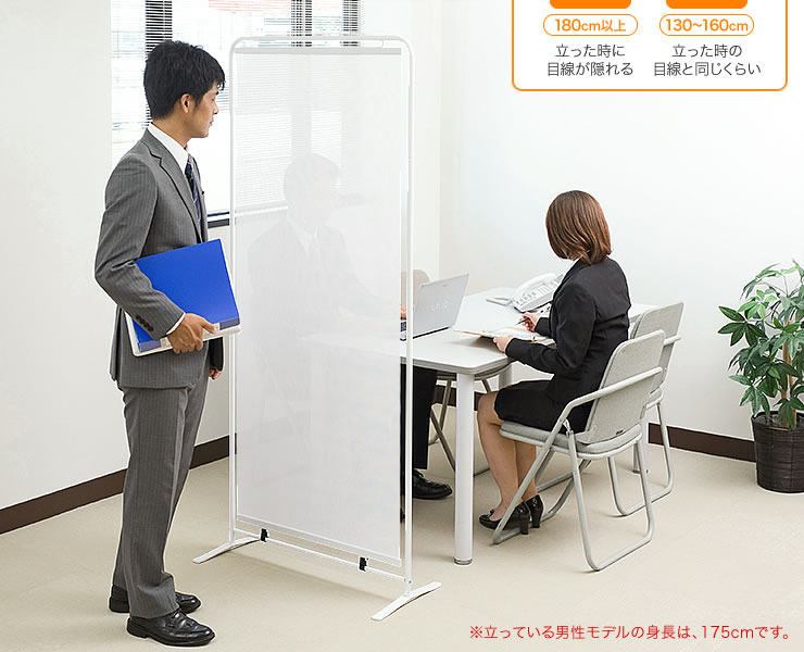100-SPT009Wの画像