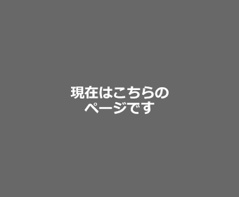 現在はこちらのページです