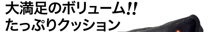 大満足のボリュームたっぷりクッション