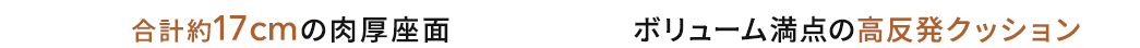 合計約17cmの肉厚座面
