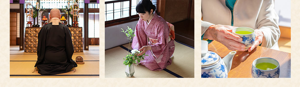 150-SNCF023の画像