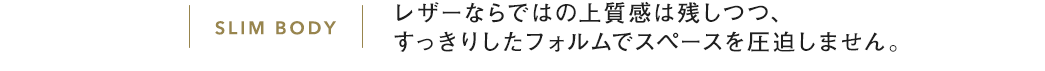 レザーならではの上質感は残しつつ、すっきりしたフォルムでスペースを圧迫しません