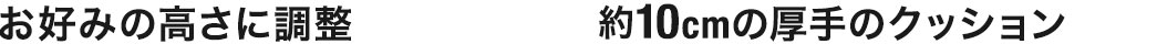 お好みの高さに調整 約10cmの厚手のクッション