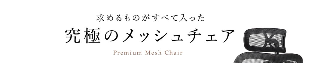 求めるものがすべて入った 究極のメッシュチェア