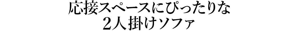 応接スペースにぴったりな2人掛けソファ