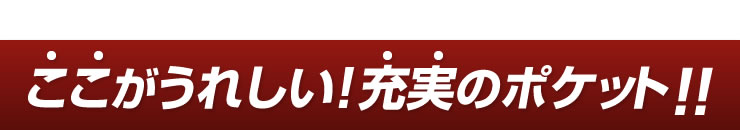 ここがうれしい　充実のポケット