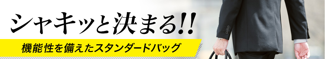 シャキッと決まる 機能性を備えたスタンダードバッグ