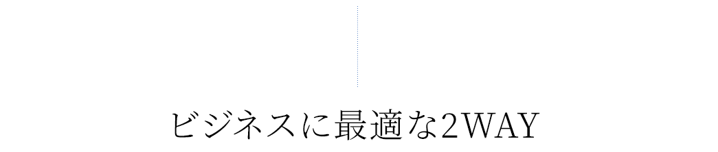 ビジネスに最適な2WAY