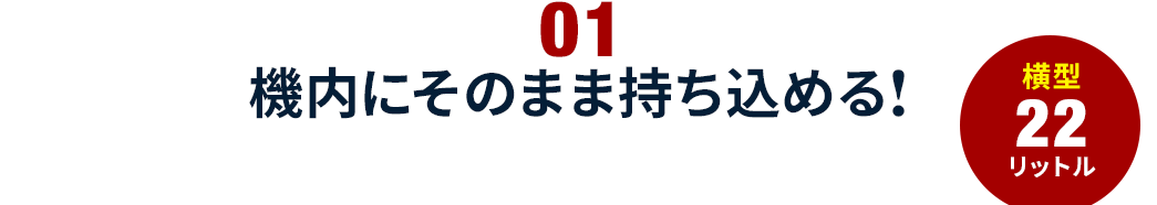 機内にそのまま持ち込める