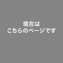 現在はこのページです