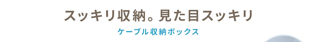 スッキリ収納 見た目スッキリ ケーブル収納ボックス