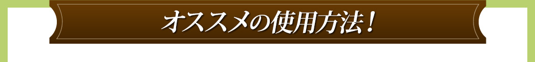オススメの使用方法