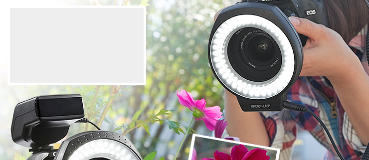 200-DGAC001の画像