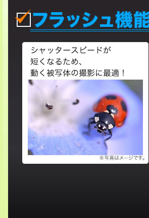 フラッシュ機能