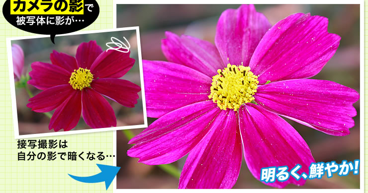 カメラの影で被写体に影が