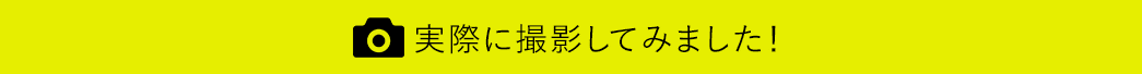 実際に撮影してみました