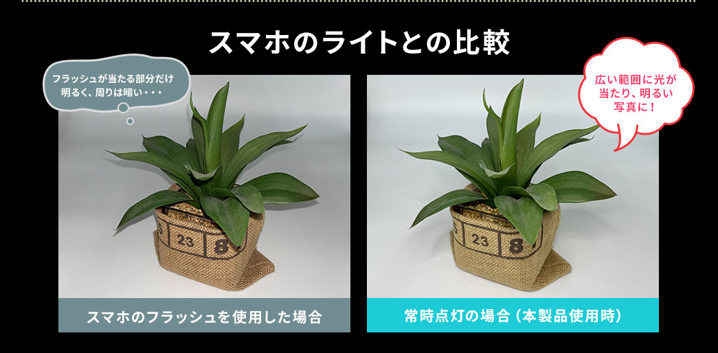 スマホのライトとの比較
