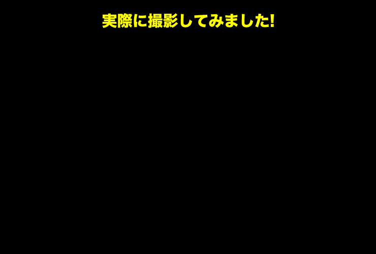 実際に撮影してみました