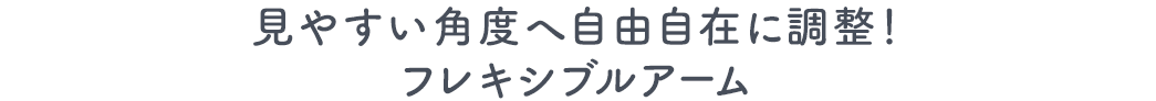 見やすい角度へ自由自在に調整 フレキシブルアーム