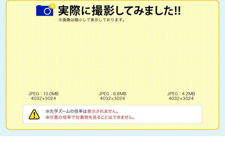 実際に撮影してみました