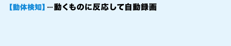 動体検知　動くものに反応して自動録画