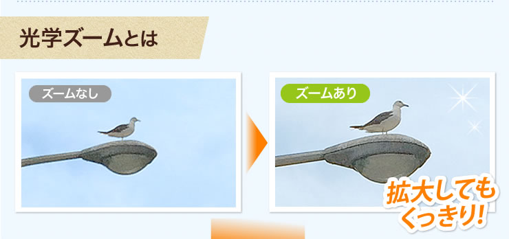 光学ズームとは 拡大してもくっきり