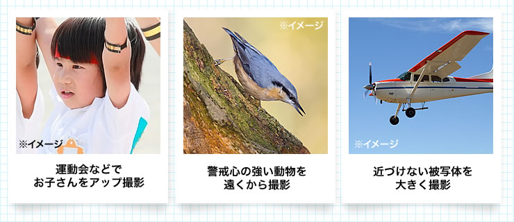 運動会などでお子さんをアップ撮影　警戒心の強い動物を遠くから撮影　近づけない被写体を大きく撮影