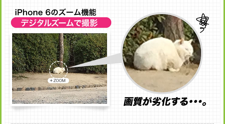 iPhone 6のズーム機能　デジタルズームで撮影