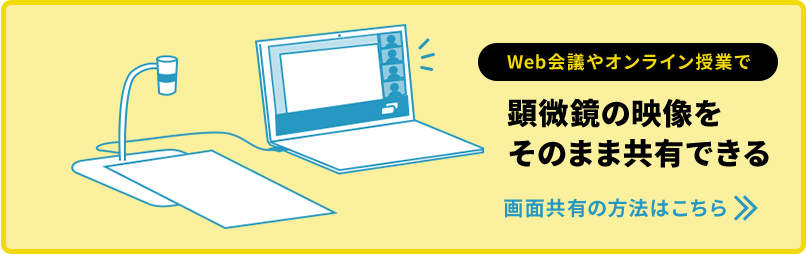 WEB会議やオンライン授業で 顕微鏡の映像をそのまま共有できる 画面共有の方法はこちら