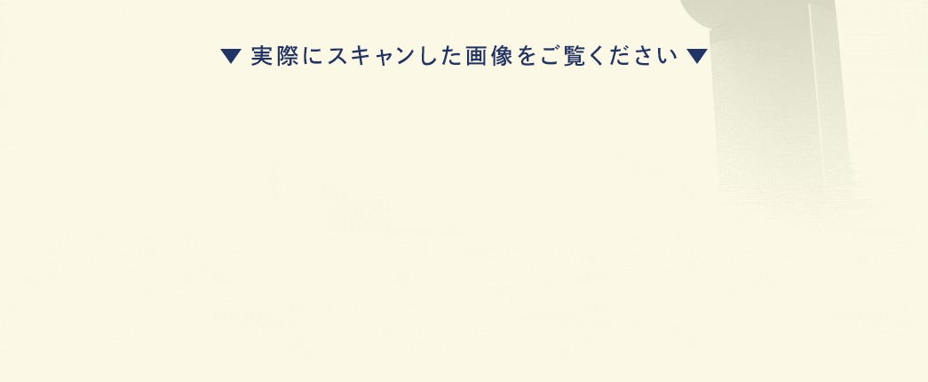 実際にスキャンした画像をご覧ください