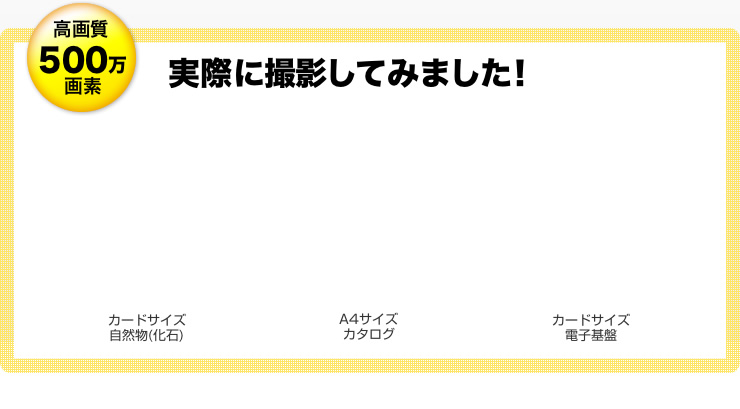 実際に撮影してみました！