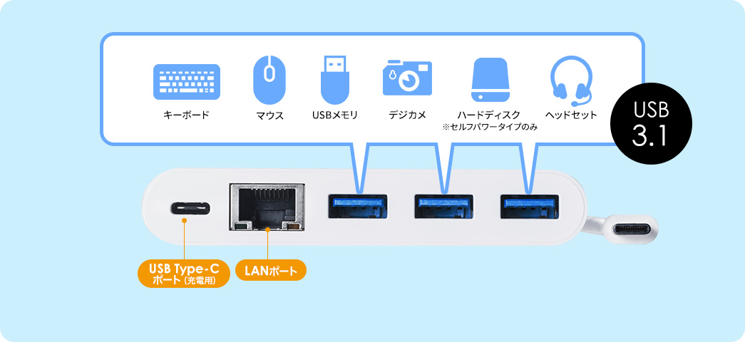 USB Type-Cポート LANポート