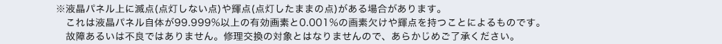 液晶パネル状に滅点や輝点がある場合があります