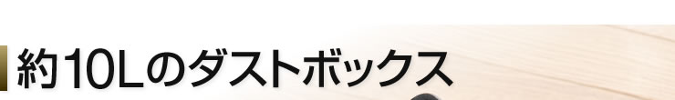 約10Lのダストボックス