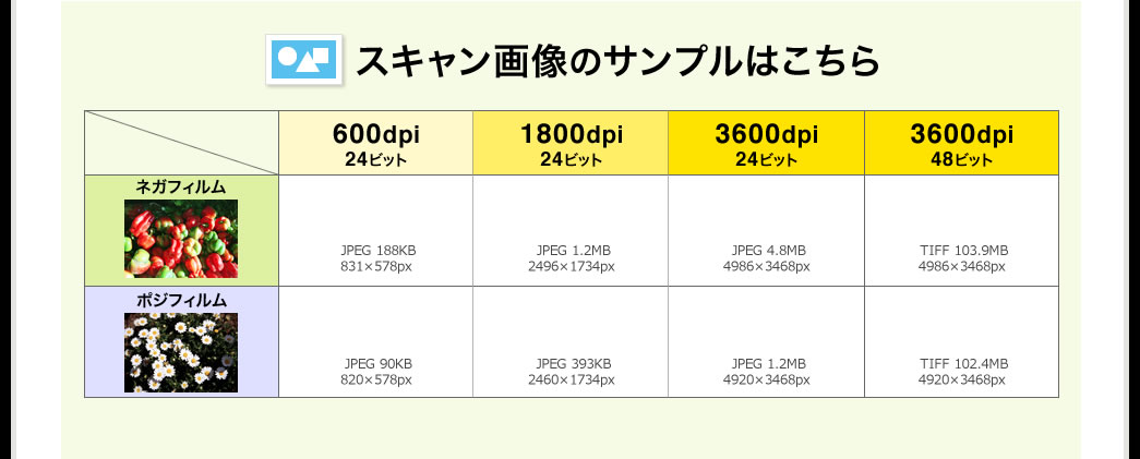 スキャン画像のサンプルはこちら