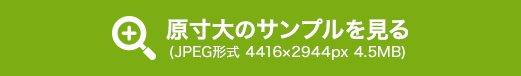 原寸大のサンプルを見る