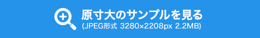 原寸大のサンプルを見る