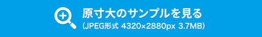 原寸大のサンプルを見る（JPEG形式 4320×2880px 3.7MB）